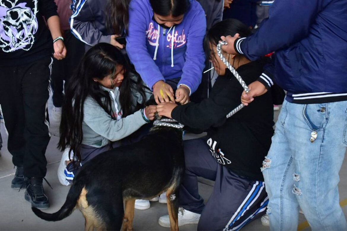 En-Corregidora,-fomentan-el-cuidado-a-los-animales En Corregidora, fomentan el cuidado a los animales