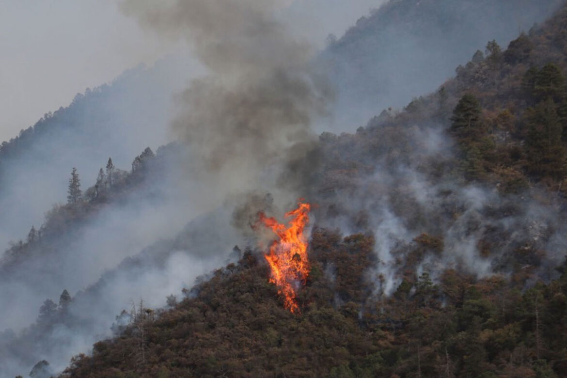 Registran-tres-incendios-en-la-entidad Registran tres incendios en la entidad