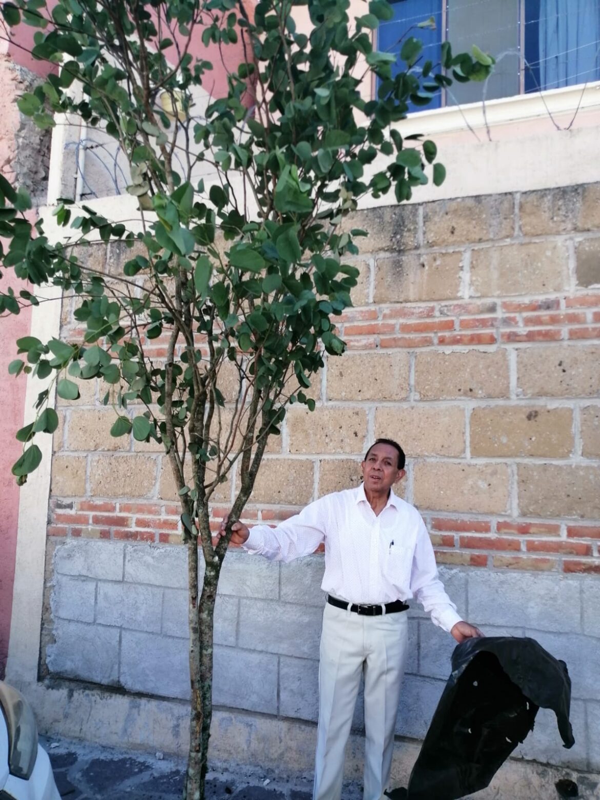 Reforestación-Comunitaria-en-Colonia-Sr-Eccehomo