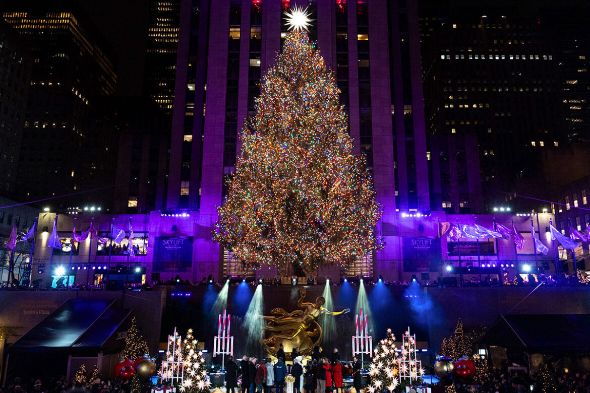 Conoce-los-árboles-de-Navidad-más-populares Conoce los árboles de Navidad más populares