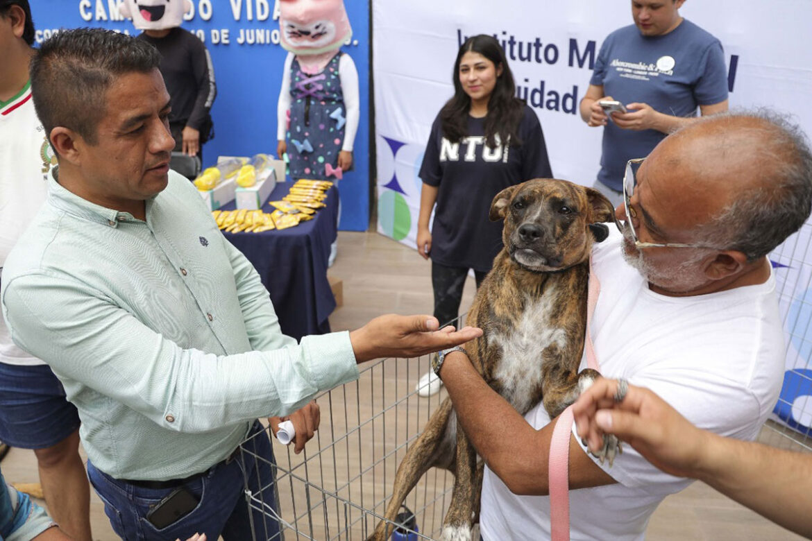 Corregidora-inicia-jornada-de-adopción-‘Cambiando-Vidas’-1 Corregidora inicia jornada de adopción 'Cambiando Vidas'