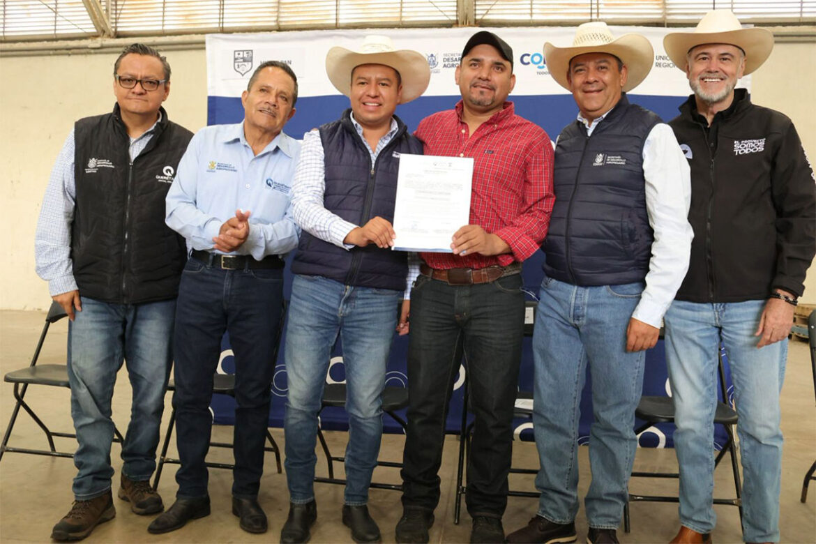 En-Huimilpan,-entregan-alimento-concentrado-para-ganado En Huimilpan, entregan alimento concentrado para ganado