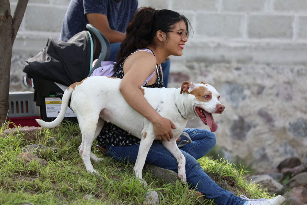 San Juan del Río refrenda su compromiso con el cuidado animal