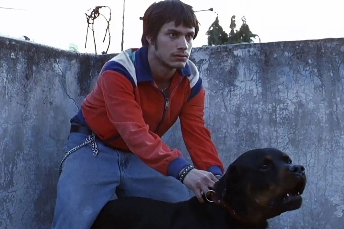 'Amores Perros' se reestrenará en cines