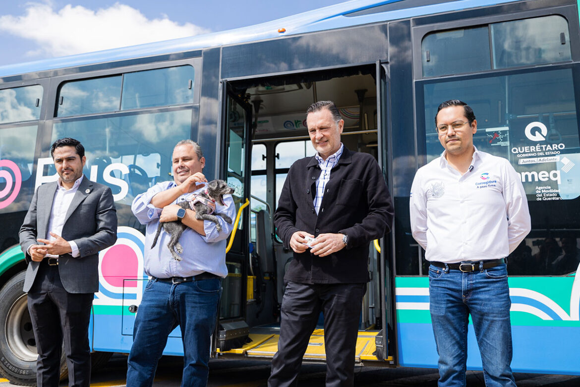 Anuncian-Sistema-Qrobus-Pet-Friendly-2 Anuncian Sistema Qrobus Pet Friendly