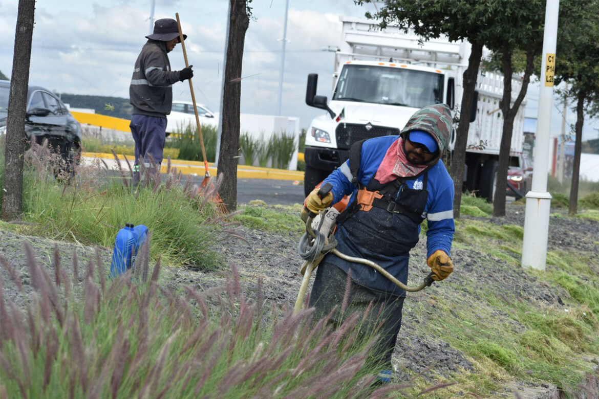 El operativo de limpieza y desmalezado en Corregidora, abarca más de 58 km de carretera en colindancia con el estado de Guanajuato