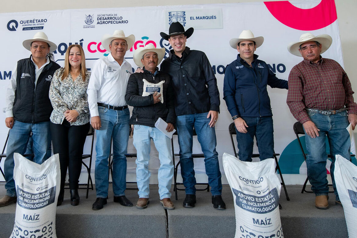 En El Marqués, entregan 479 toneladas de maíz a productores