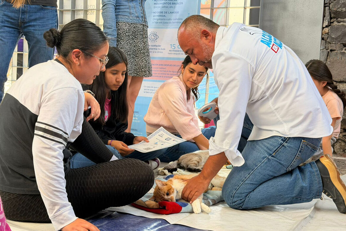 Municipio de Querétaro realiza Feria de Bienestar Animal