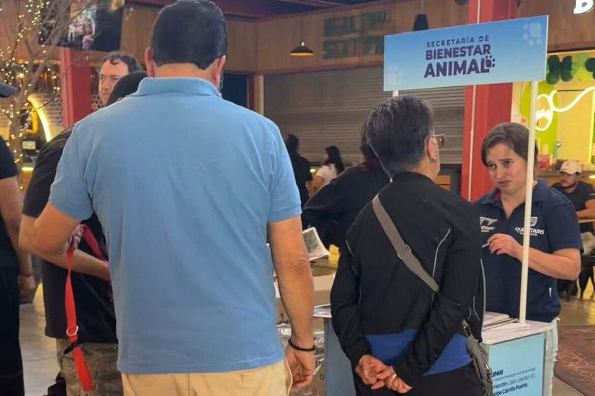 Municipio de Querétaro realiza acciones permanentes de bienestar animal